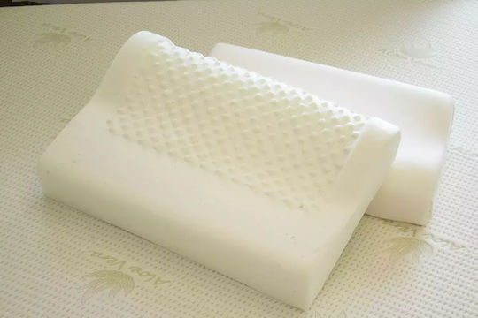 Alpha Foam Elegant Aloe Vera Μαξιλάρι Ύπνου Memory Foam Ανατομικό 38x55x12cm