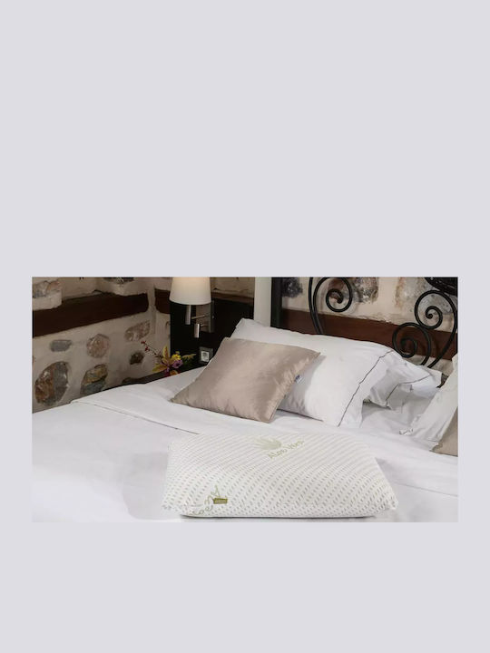 Alpha Foam Repose Aloe Vera Μαξιλάρι Ύπνου Memory Foam Ανατομικό 40x56x11cm