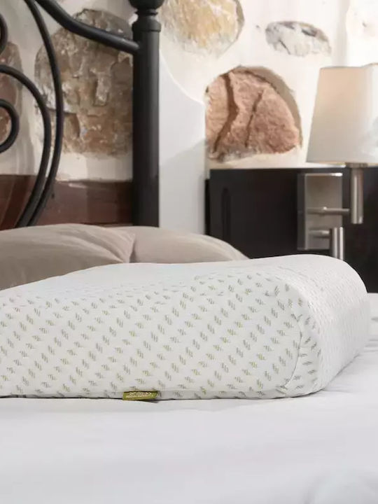 Alpha Foam Deluxe Aloe Vera Bed Pillow Memory Foam Anatomic 36x55x15cm