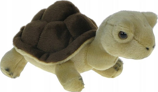 Terrestrial Turtle Dubi Brown 20cm 31129