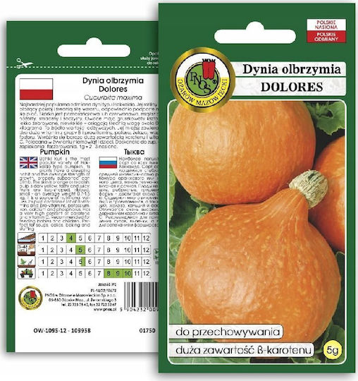 Pnos Зеленчукови Семена Гигантска Тиква Dolores Опаковка 5г
