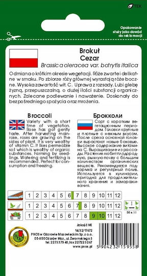 Pnos Зеленчукови Семена Caesar Броколи 2г Опаковка