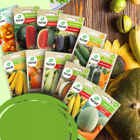 Toraf Flavor Symphony Seed Set 12 Packs