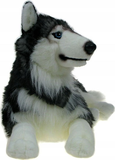Beppe Plush Toys Λούτρινο Σκυλάκι 60 εκ.