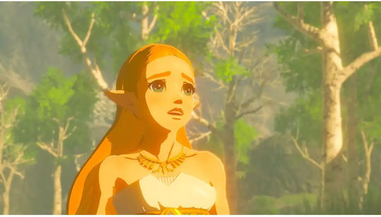 The Legend of Zelda Breath of the Wild Switch Game