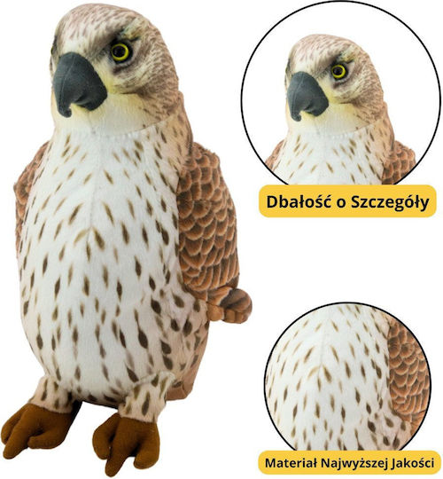 Plush Toy Cuddly Falcon Brown 30cm