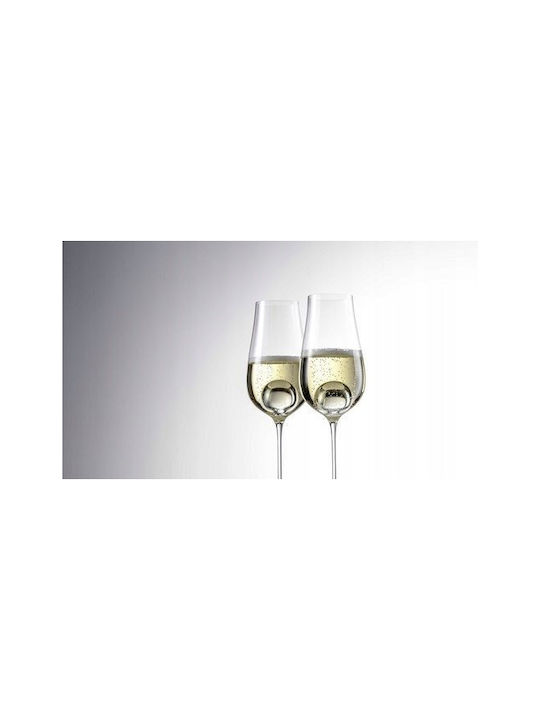 Zwiesel Glas Set of Glasses Champagne made of Glass Stemmed 331ml 2pcs