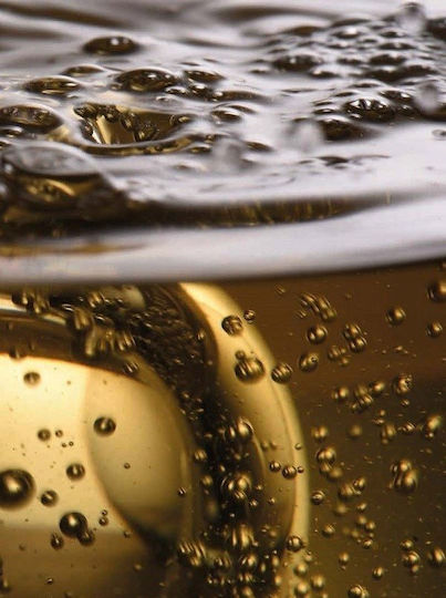 Zwiesel Glas Ποτήρι Νερού από Γυαλί 400ml