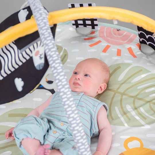 Taf Toys Savannah Activity Gym with Music for Newborns