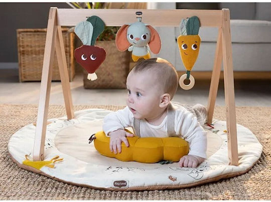 Tiny Love Baby-Spieldecken und -Gyms für Neugeborene