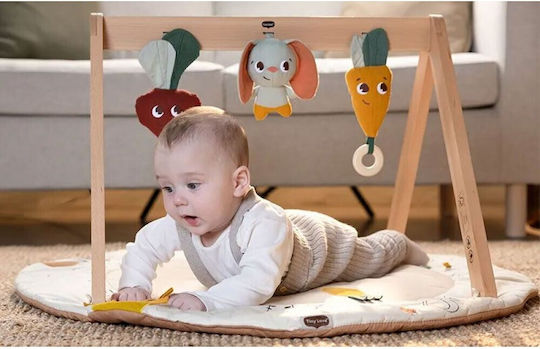 Tiny Love Baby-Spieldecken und -Gyms für Neugeborene