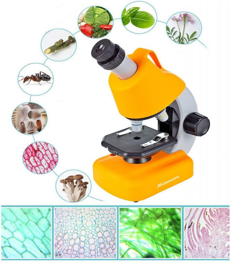 Microscop Științific Multifuncțional pentru Copii Idealstore Dimensiuni 16 X 10 X 22.5 Cm Include 3 Lentile de Mărire Numeroase Accesorii Iluminare cu Lumină LED Înălțime Reglabilă Cutie de Transport