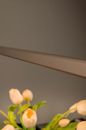 Lucide Lightning Braga Κρεμαστό Φωτιστικό Καφέ LED με Ρυθμιζόμενο Λευκό Φως