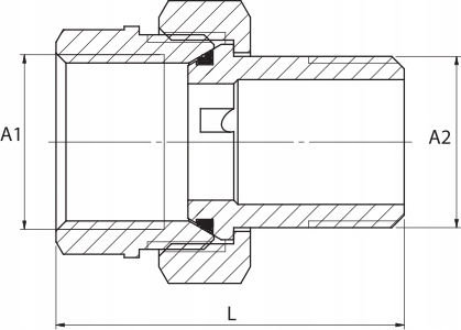 Brass Coupling 2 Inches G G