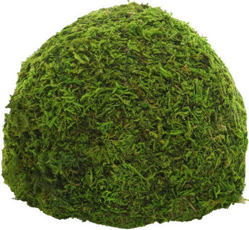 Shrimp Fish Nest Hobby Terrarium Jungle Cave 2 17x17x12 cm