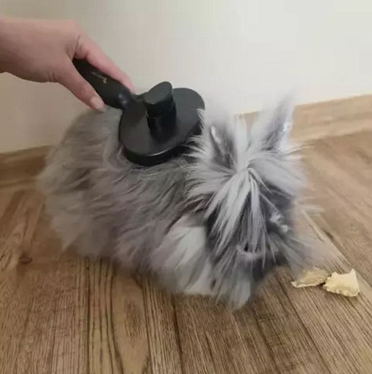 Perie pentru îngrijirea blănii animalelor de companie, cu mâner ergonomic antiderapant, buton pentru îndepărtarea părului de pe peri, ideală pentru clinici veterinare, saloane de toaletaj și utilizare acasă