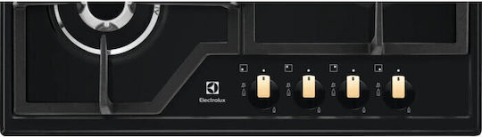 Electrolux Gewerblicher Kocher