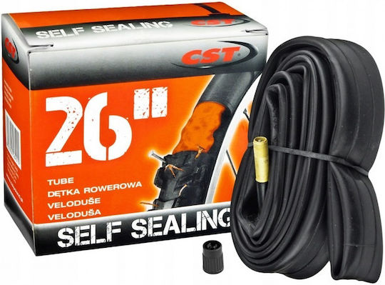CST Bicycle Tyre Inner Tube