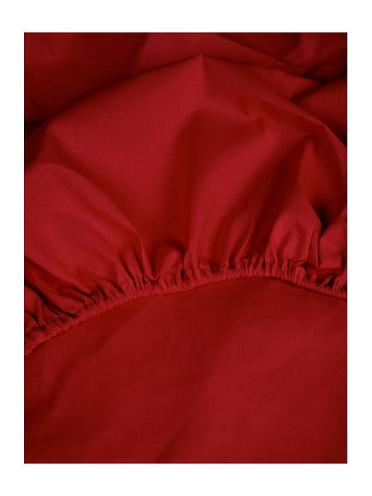 Sunshine Cotton Feelings 151 Σεντόνι Ημίδιπλο με Λάστιχο 120x200+30εκ. 113 Red