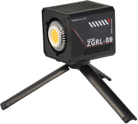 LED Light 80W