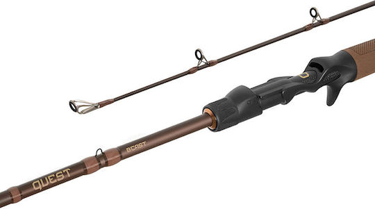Delphin Καλάμι Ψαρέματος για Light Jigging 1.95m