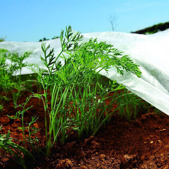 Bradas Capac Antigel Textil Agricol 17gr/m² Bradas Capac Antigel Textil Agricol 17gr/m²
