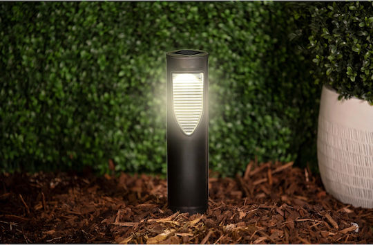Grundig Spiked Lampă Solară cu Alb Cald Lumină 8bucx8bucx31buccm