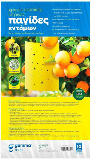 Gemma G-Trap Traps for Flies with Adhesive Surface 10pcs