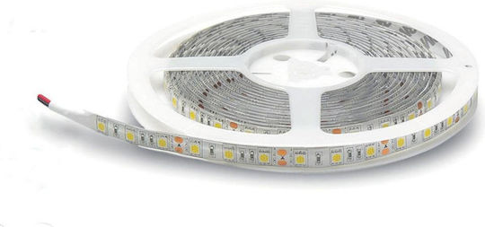Lucas Rezistent la apă Bandă LED 24V Alb Cald Lumină
