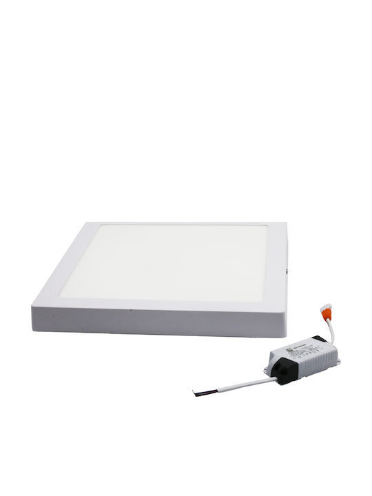 Adeleq Square Outdoor LED Panel 25W with Cool White Light 6300K 30x30cm