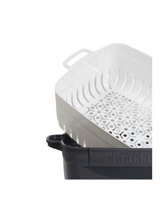 Viosarp Plastic Lunch Box Gray