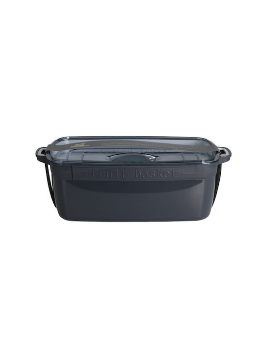 Viosarp Plastic Lunch Box Gray