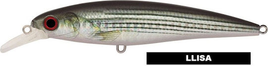 Τεχνητό Akami Real Minnow 10cm Llisa