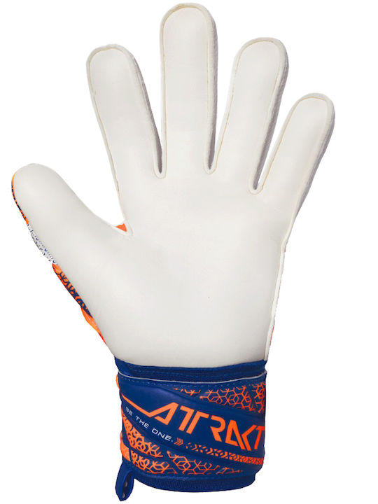 Reusch Reusch Attrakt Adults Goalkeeper Gloves Multicolour
