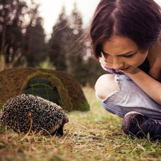 Hedgehog Igloo Made Wood Plastic 20 X 52 X 45 Cm
