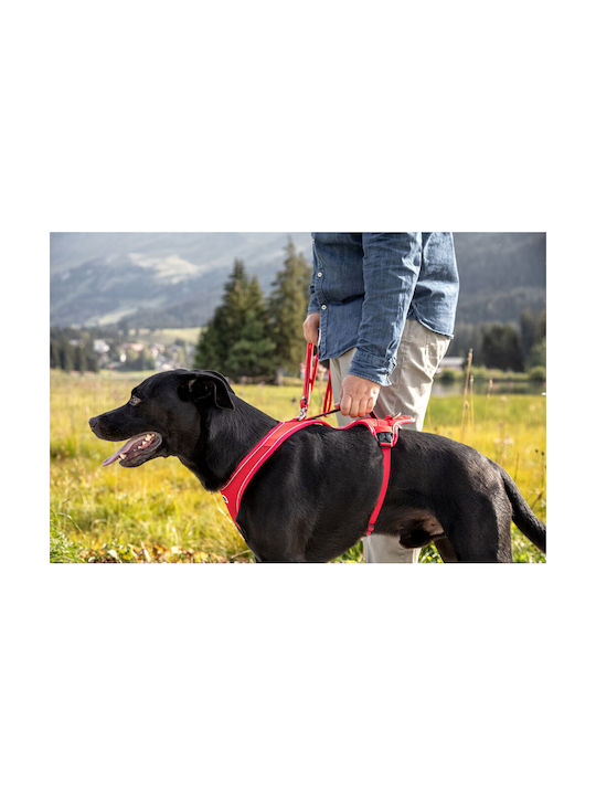 Curli Belka Comfort Dog Harness Large Brown