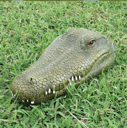 Remote Controlled Toy Green