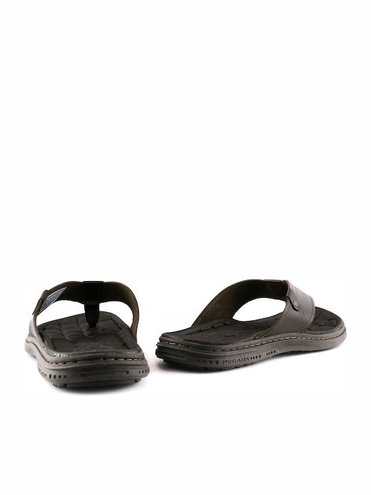131281 Pegada Men's Brown Sandals