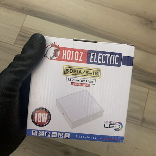 Plafonieră LED Pătrată Sofia 18W Lumină Rece Albă 120x120 mm 1620 lm Albă Plafonieră LED Pătrată Sofia 18W Lumină Rece Albă 120x120 mm 1620 lm Albă