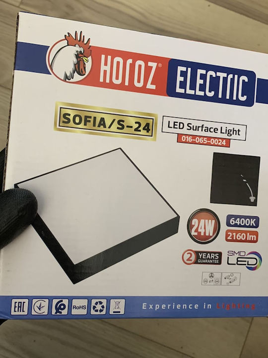Sofia Square-24 Plafonieră LED Neagră Lumină Rece 24W 170x170 mm 2160 Lm Negru