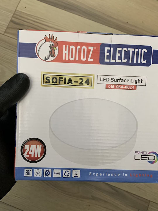 Lustră LED Rotundă Sofia-24 Lumină Rece 24W Diametru 170 mm 2160 lm Alb