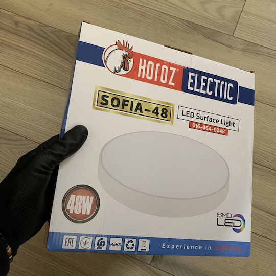 Lustră LED Rotundă Sofia-48 Lumină Rece 48W Diametru 300 mm 4320 lm Alb Lustră LED Rotundă Sofia-48 Lumină Rece 48W Diametru 300 mm 4320 lm Alb