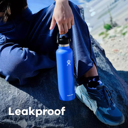 Hydro Flask Μπουκάλι Θερμός Ανοξείδωτο 621ml Reef Purple Reef Purple με Καλαμάκι