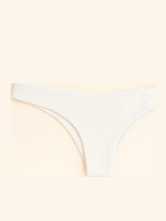 Line Up Hawaii Lo Bikini Slip Seashell