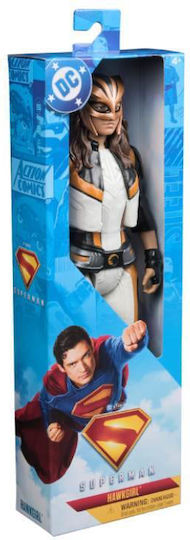 Action Figure Superman Hawkgirl 30.48cm.