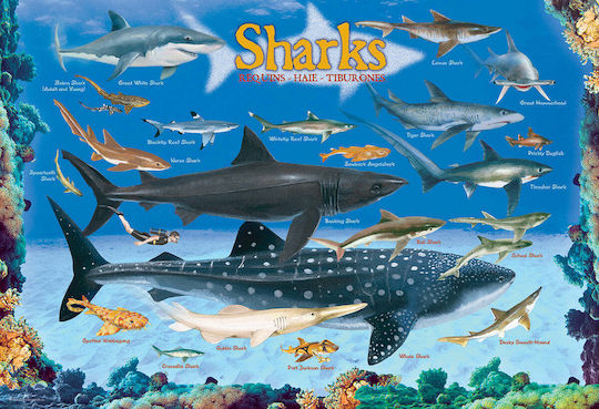 Παιδικό Puzzle Sharks World για 5+ Ετών 100pcs Eurographics
