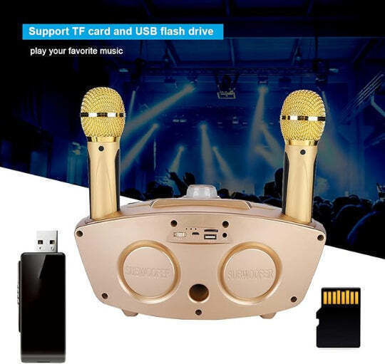 Ηχείο Karaoke με Ασύρματα Μικρόφωνα SD-306S Χρυσό
