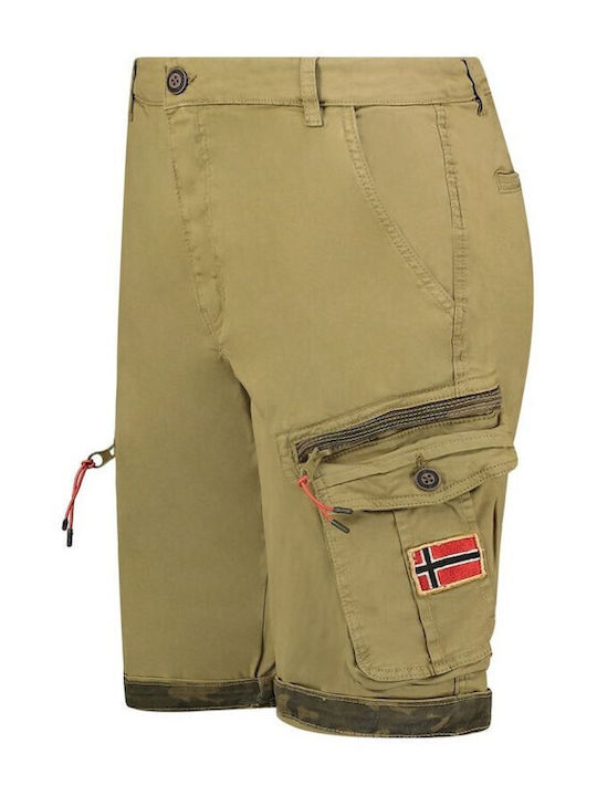 Geographical Norway
