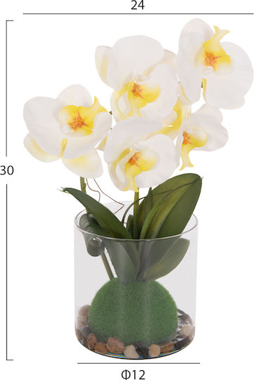 Decorative Synthetic Plant Hm4738 Phalaenopsis Flower Glass Vase 12x24x30cm Decorative Synthetic Plant Hm4738 Phalaenopsis Flower Glass Vase 12x24x30cm