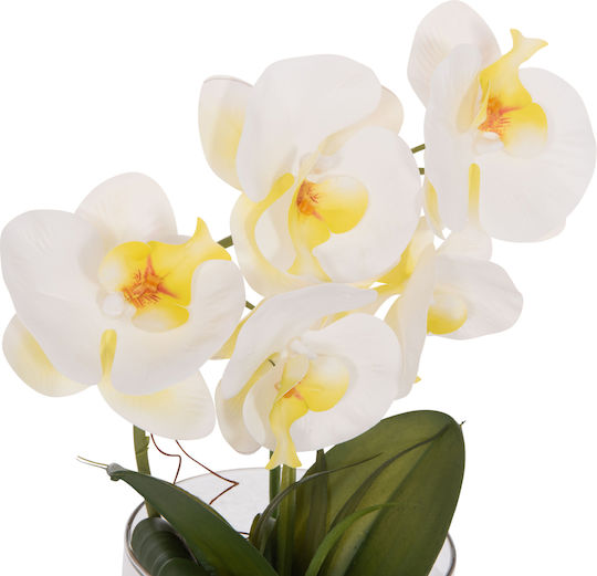 Dekoratives Künstliches Pflanze Hm4738 Blume Phalaenopsis Glasvase 12x24x30cm